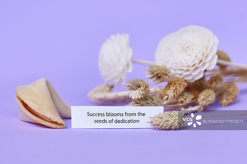 紫色背景下，写有“成功源于奉献”的幸运饼干和干花图片素材