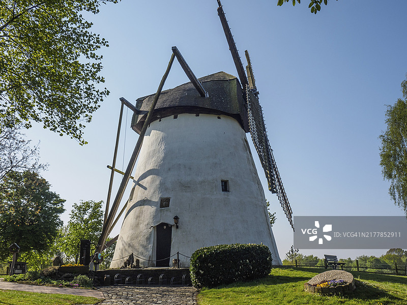 德国明斯特兰雷肯的大型白色风车图片素材