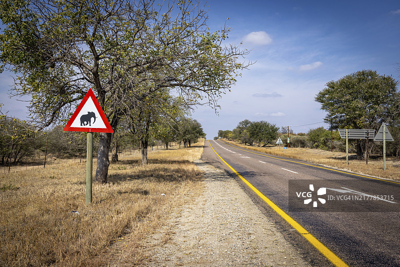 非洲象出没注意警示牌，南非巴鲁勒平原图片素材