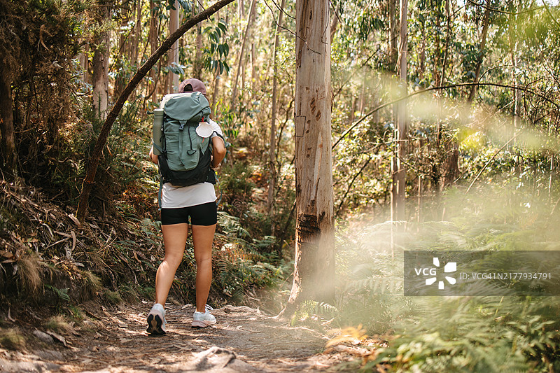 徒步旅行者在树林中行走图片素材