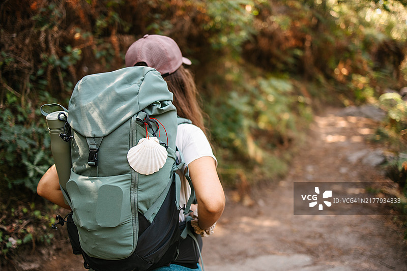在树林里行走的背包客背影图片素材