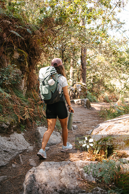 在树林里拿着水壶的背包客图片素材