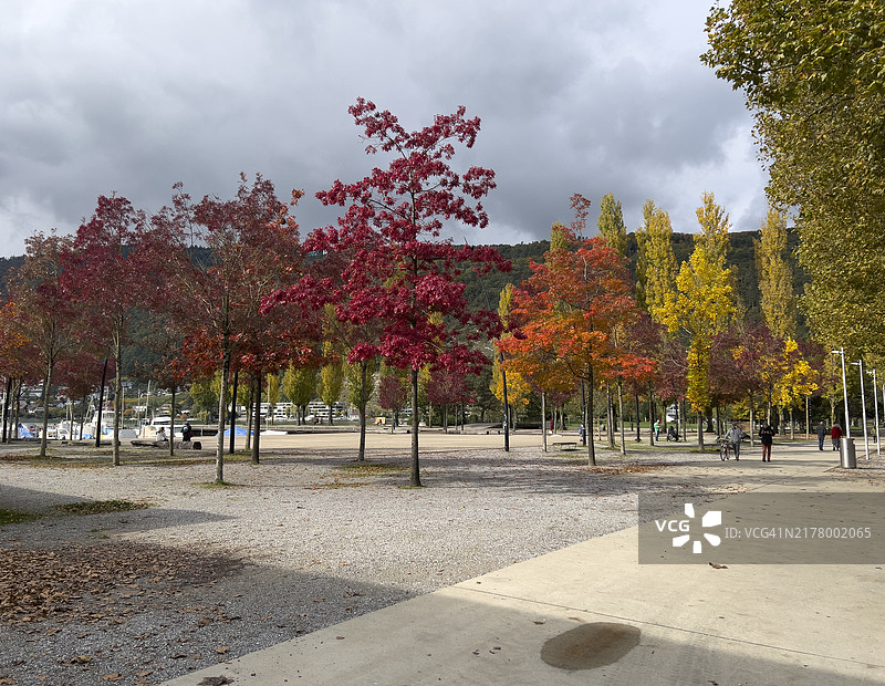 秋季，树木，人们在比尔街头行走图片素材