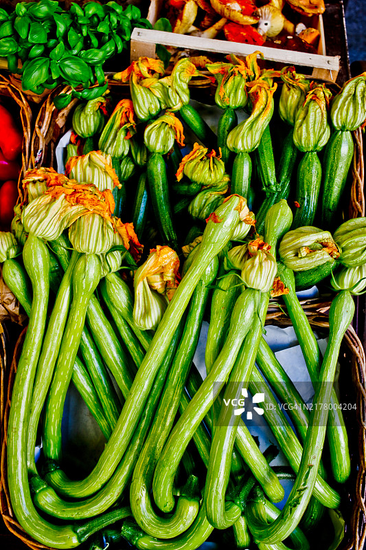 西葫芦图片素材