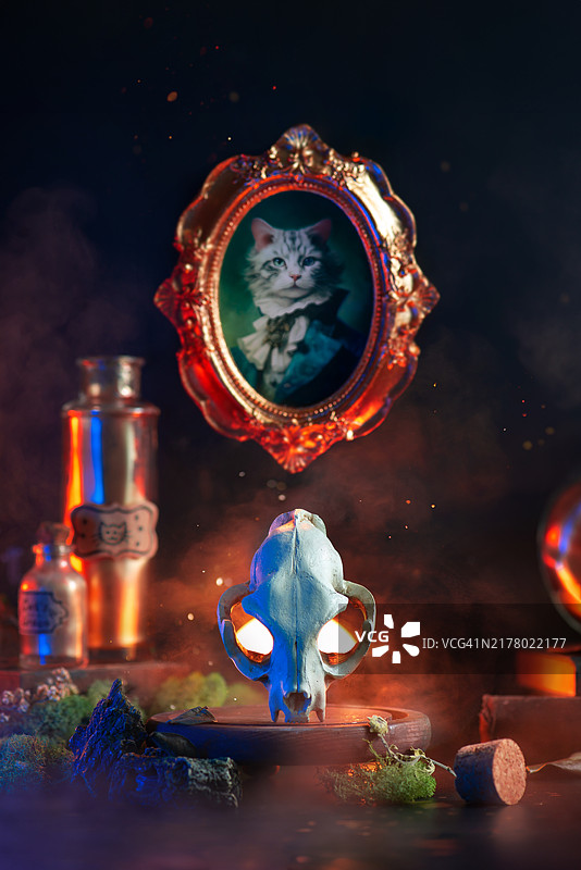 道林·格雷猫概念静物摄影图片素材