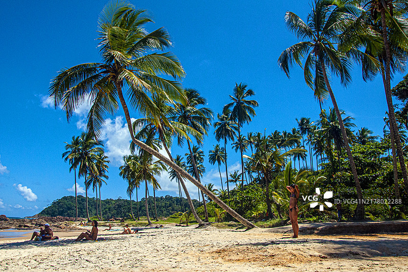 巴西巴伊亚州伊塔卡雷孔查海滩全景图片素材