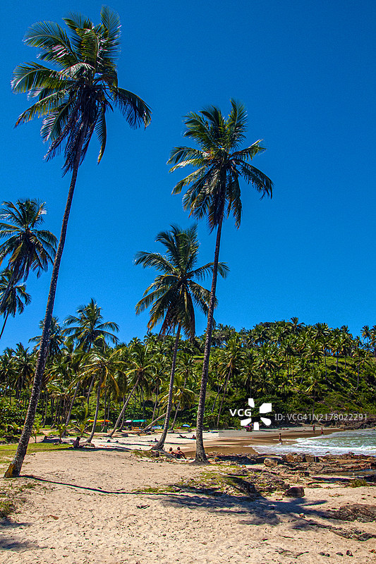 巴西巴伊亚州伊塔卡雷孔查海滩全景图片素材