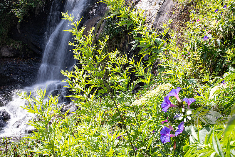 柯代卡纳尔旅游图片图片素材