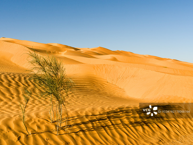 沙丘蓝天沙漠景观图片素材