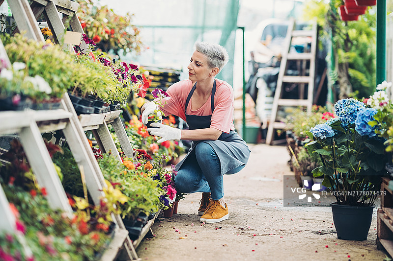 在苗圃工作的园丁图片素材