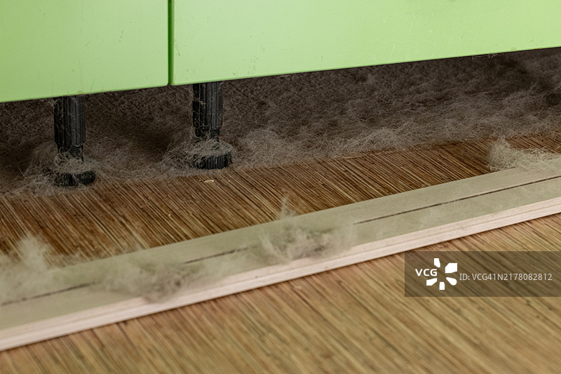 家庭灰尘毒性：风险与预防图片素材