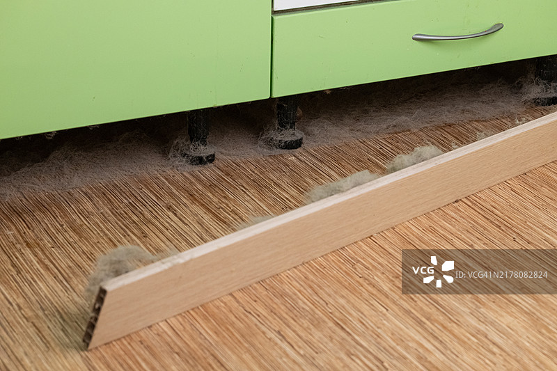 灰尘和宠物毛发如何引起过敏、瘙痒和眼睛不适图片素材