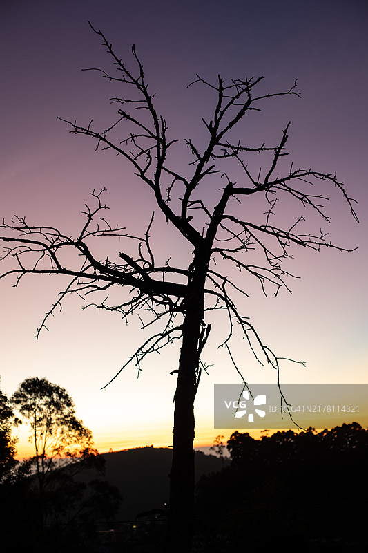 自然剪影图像图片素材