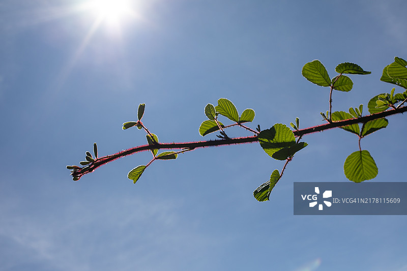 自然图像图片素材