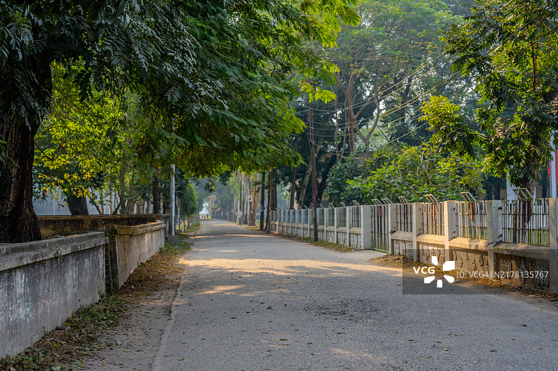 孟加拉国朗布尔卡迈克尔学院校园宁静的树荫小道图片素材
