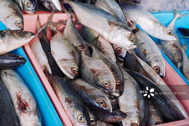 当地市场上展示的新鲜生鱼和海鲜图片素材