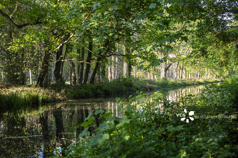 贝辛斯托克运河图片素材