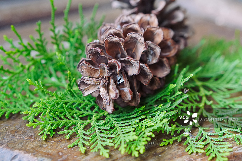 木桌上的松果，乡村魅力图片素材
