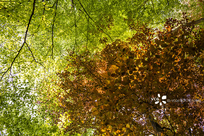 季节更替图片素材