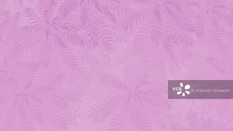 叶子纹理背景抽象壁纸色彩图片素材
