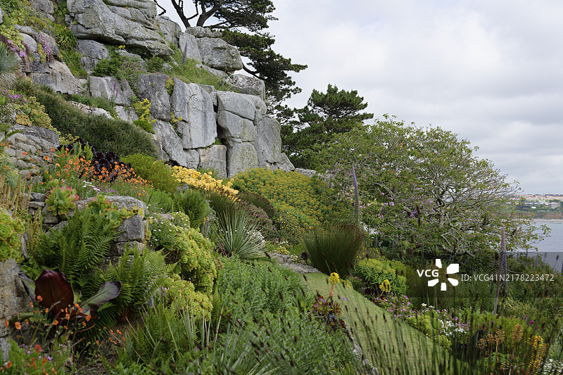 椭圆形植物，花园，圣迈克尔山，马拉宰恩，英国图片素材