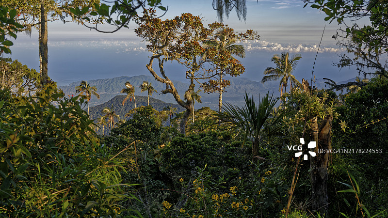 哥伦比亚圣玛尔塔山脉的茂密丛林和加勒比海景观图片素材