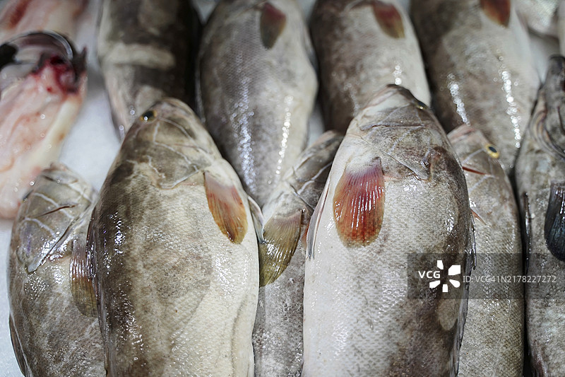 特内里费岛非洲夫人市场鱼摊图片素材
