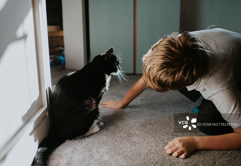 小男孩跪下与猫咪平视，直接看着它的脸图片素材