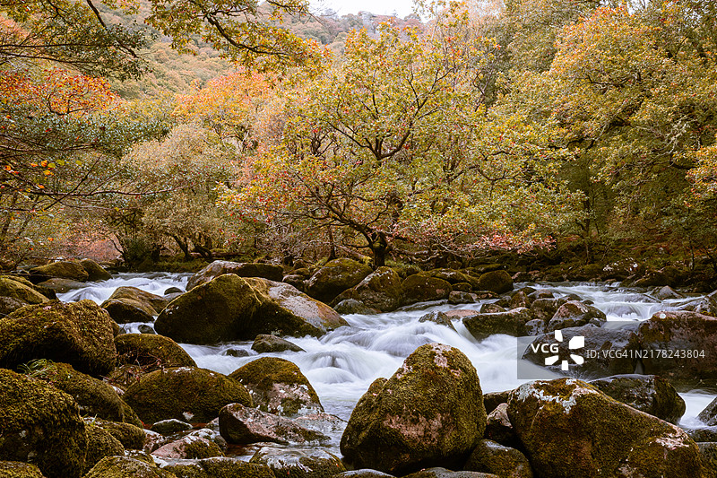 达特河中瀑布的长曝光照片图片素材