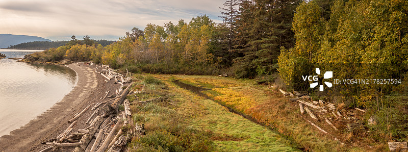 华盛顿州苏西亚岛海洋公园的尤因湾海滩图片素材