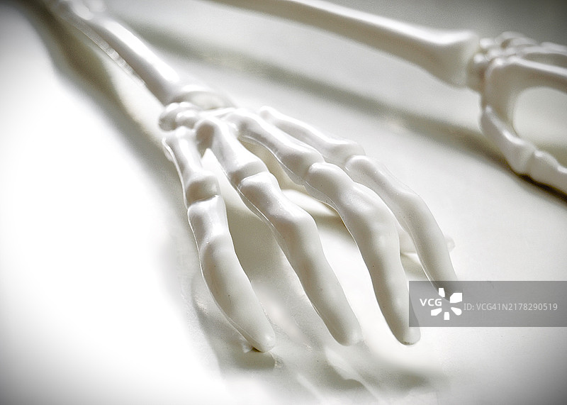 白色背景上的骷髅白手图片素材