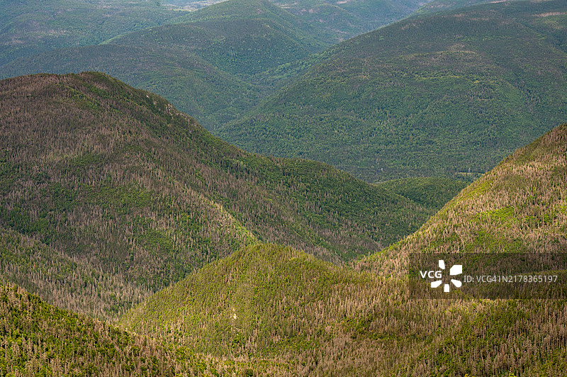 加拿大魁北克加斯佩半岛阿尔伯特山附近的崎岖景观图片素材