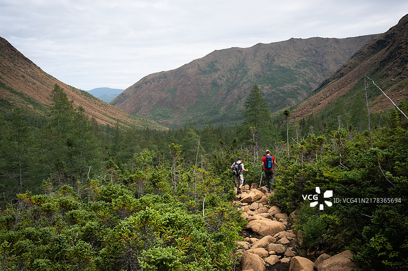加拿大魁北克省加斯佩半岛阿尔伯特山的崎岖景观图片素材