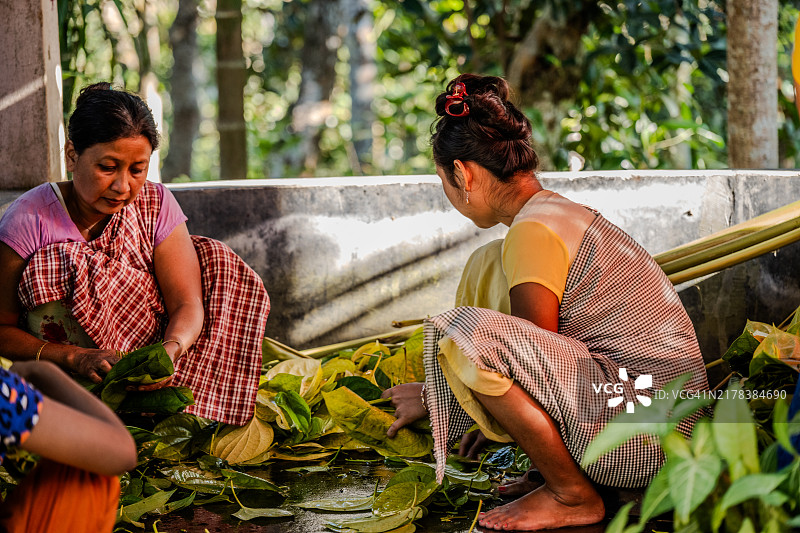 女性在西拉杰的劳阿查拉国家公园部落村庄中挑选槟榔叶图片素材