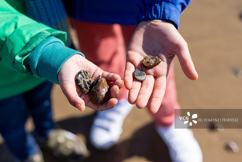 展示我们的海滩发现物图片素材