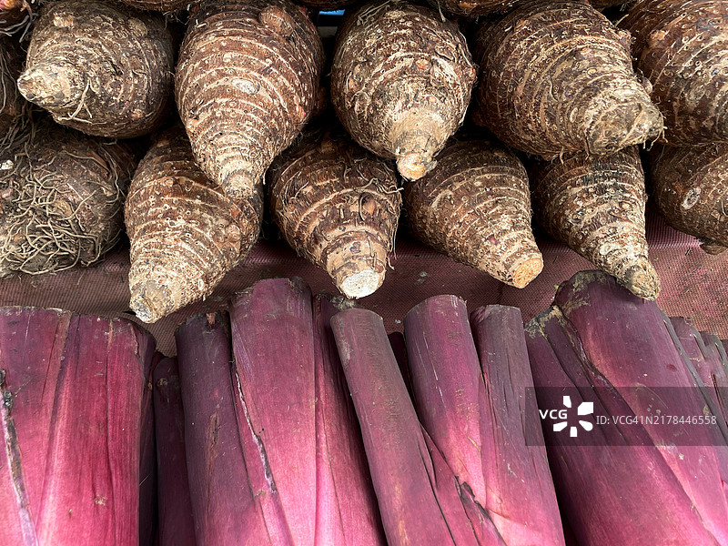 芋头植物图片素材