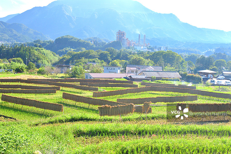 梯田：日本埼玉县秩父市的秋季乡村风光图片素材