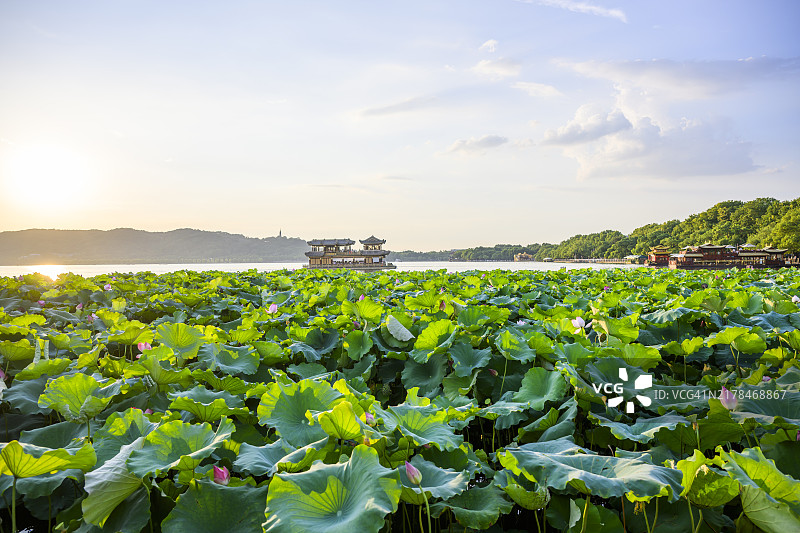 中国杭州的西湖日落图片素材