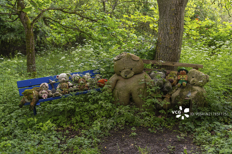 魔法森林里的熊朋友岸，位于德国莱茵兰-普法尔茨州宾根，欧洲图片素材