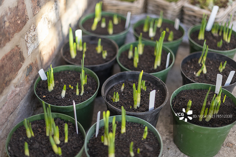 有机农场图片素材