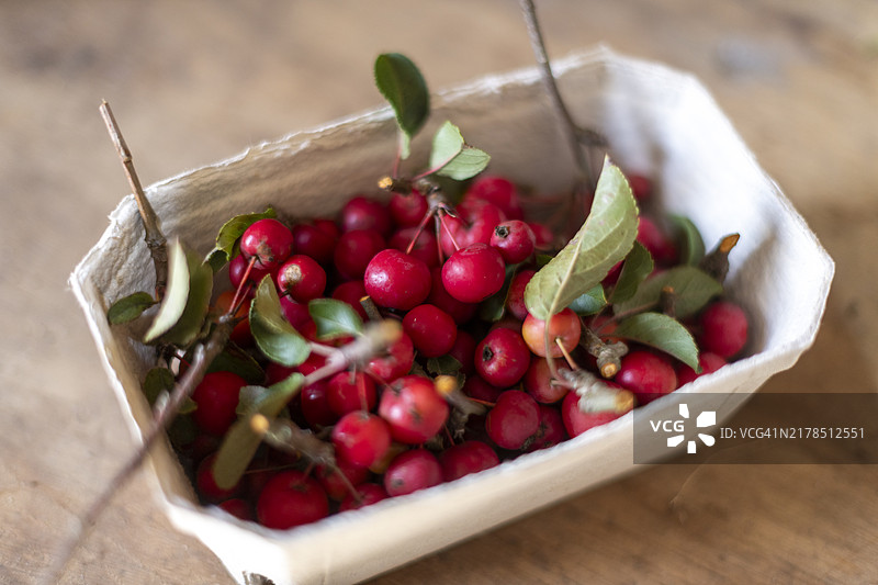 有机农场海棠果图片素材