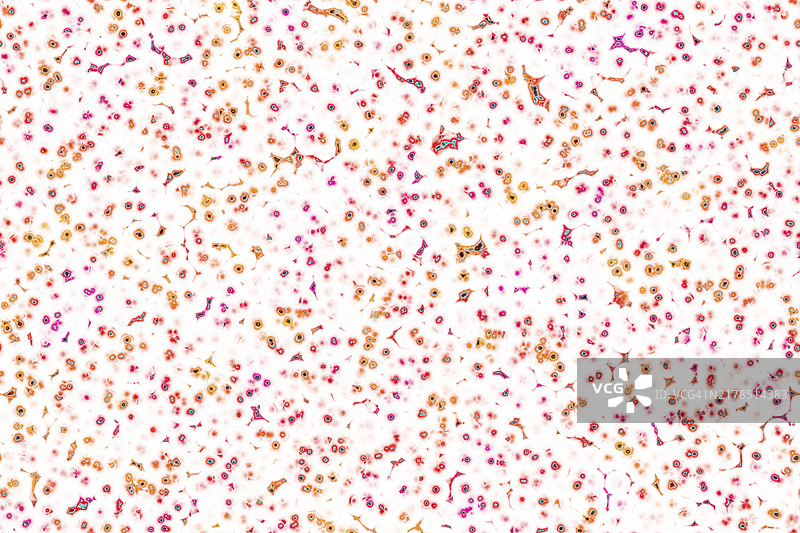 细菌细胞的形状：球菌、杆菌、螺旋菌背景图片素材