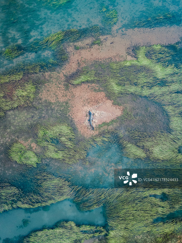 超现实无人机图像：咸水鳄鱼栖息在澳大利亚西澳大利亚金伯利奥德河下游的沙岛上图片素材