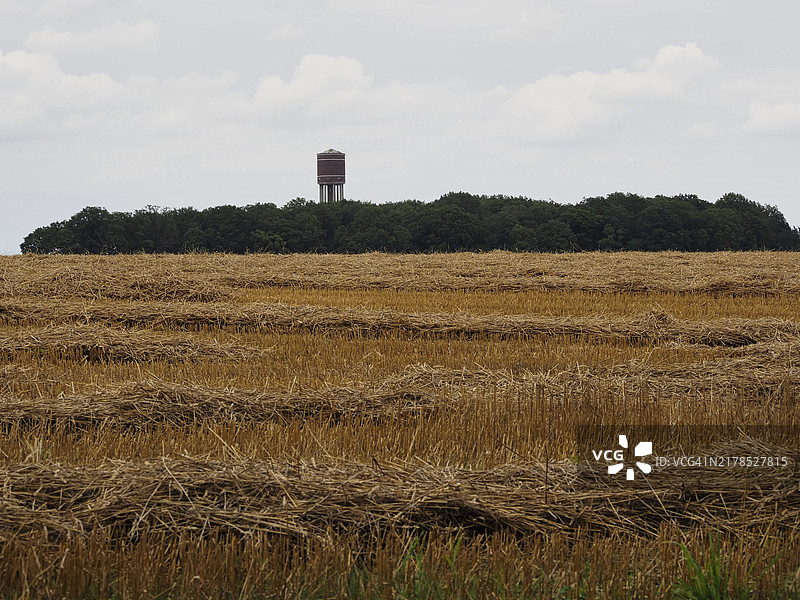 德国北莱茵-威斯特法伦州，有秸秆的 stubble 地，后面是水塔图片素材