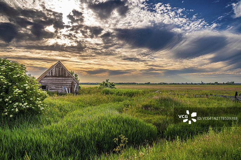 荷兰北荷兰省特塞尔岛，湿地景观中绿草茵茵的旧木谷仓，令人印象深刻的日落天空图片素材