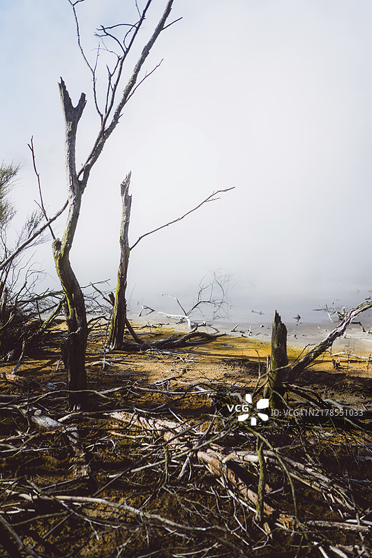 新西兰罗托鲁瓦公园硫磺泉的贫瘠景观图片素材