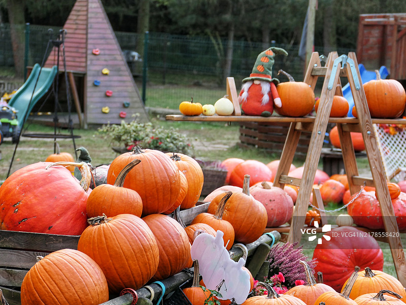 市场摊位上出售的南瓜特写图片素材