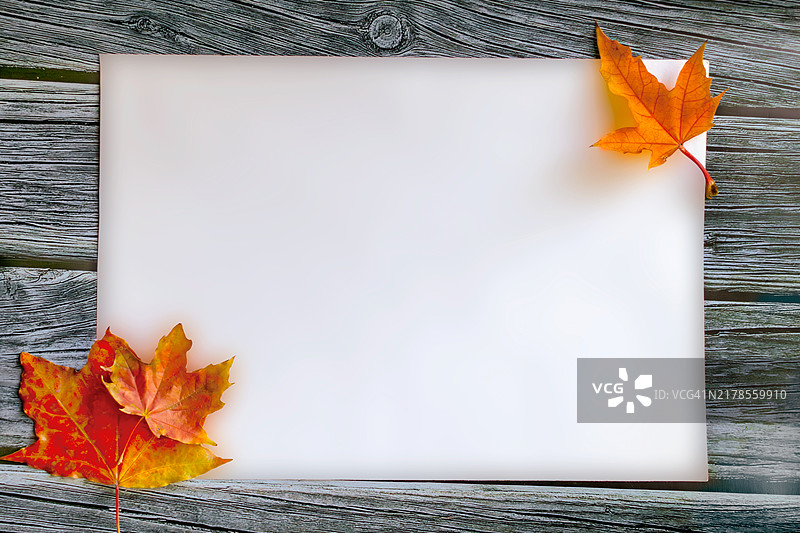 木桌上的秋叶边框极简主义顶部视角秋季模型图片素材
