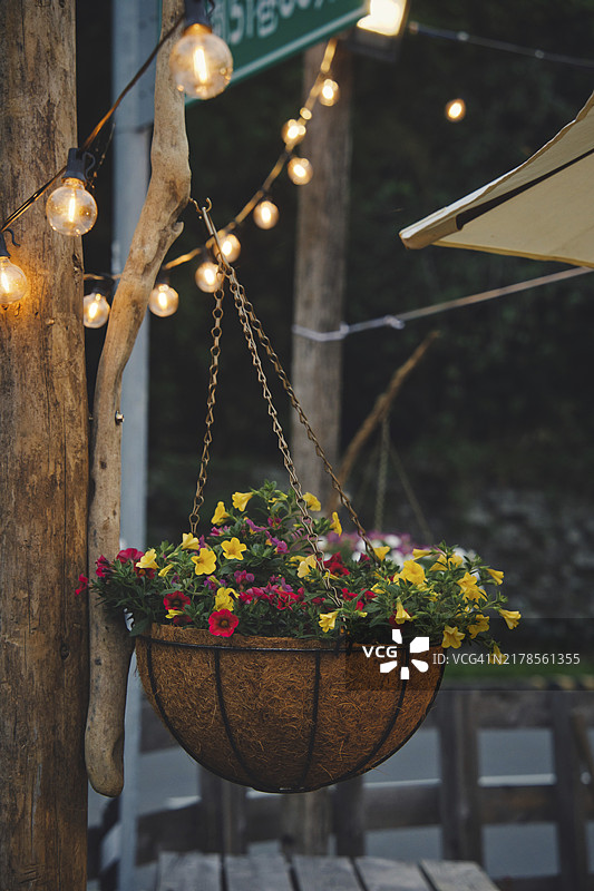 餐厅的灯具和鲜花装饰图片素材