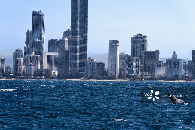 水边城市景观图片素材